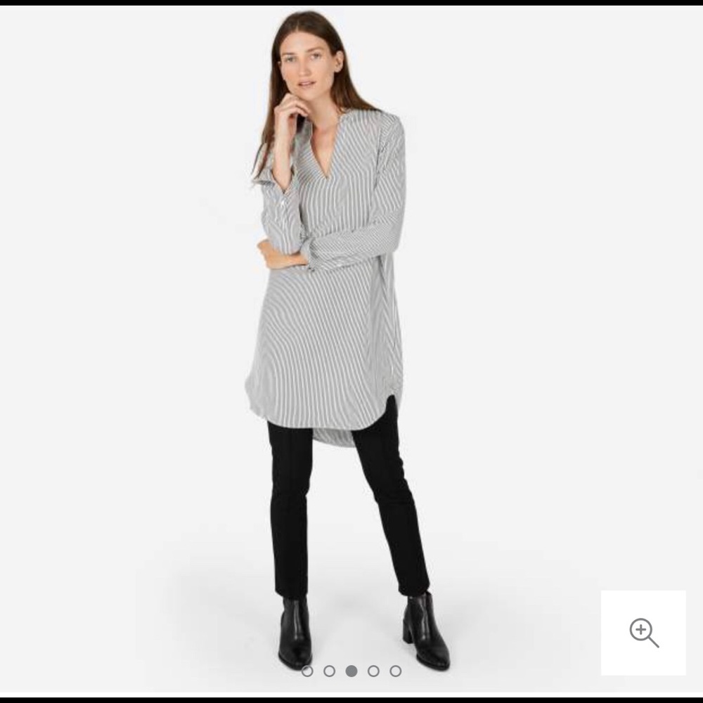 Everlane silk shirt/dress